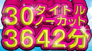 H 1240milh00004pl